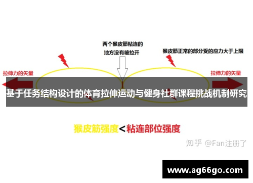 基于任务结构设计的体育拉伸运动与健身社群课程挑战机制研究