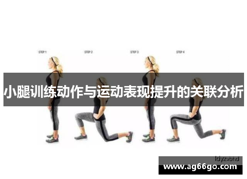 小腿训练动作与运动表现提升的关联分析